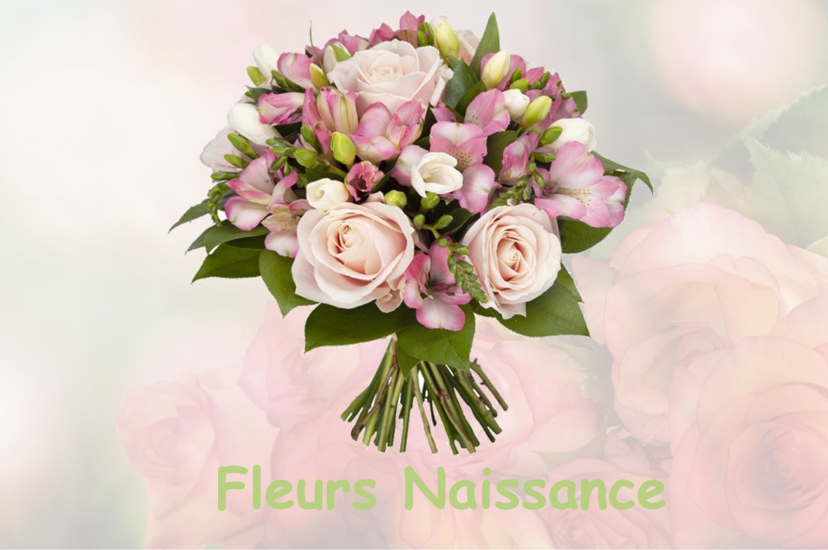 fleurs naissance ANDELOT-MORVAL