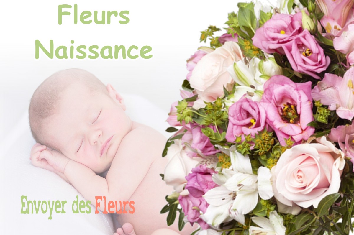 lIVRAISON FLEURS NAISSANCE à ANDELOT-MORVAL